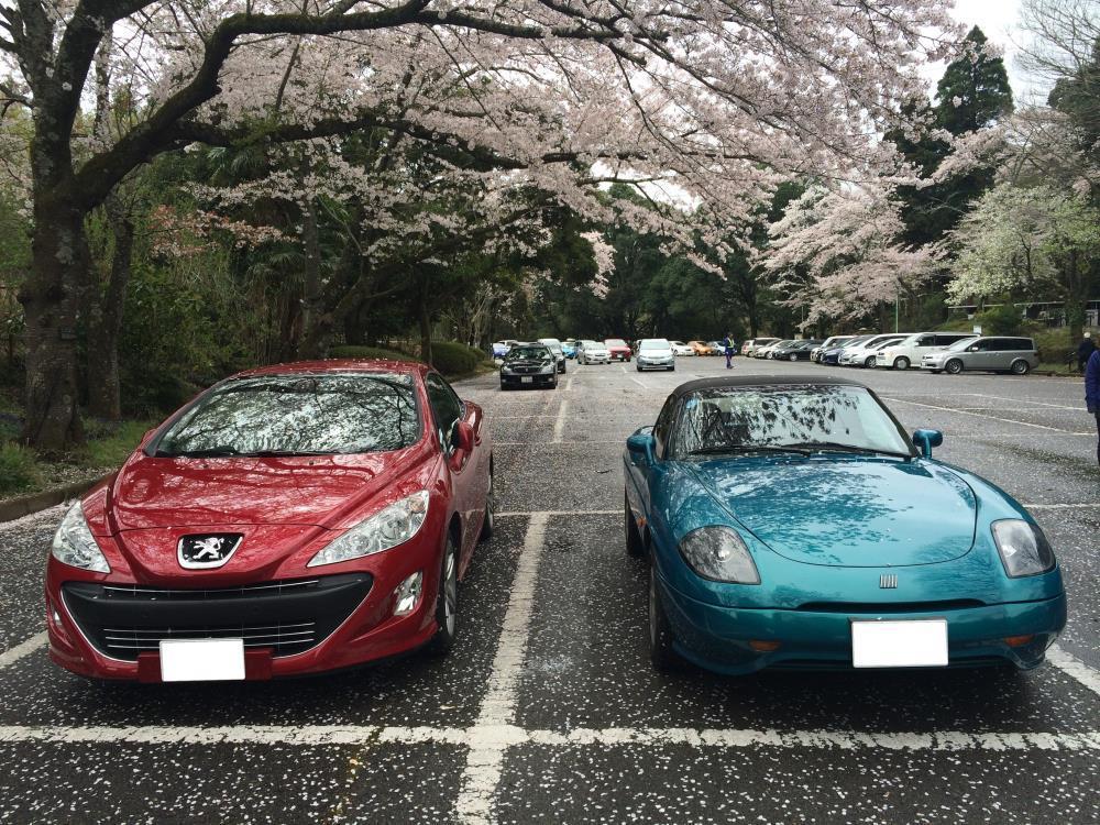 IMG_3123 - コピー.JPG